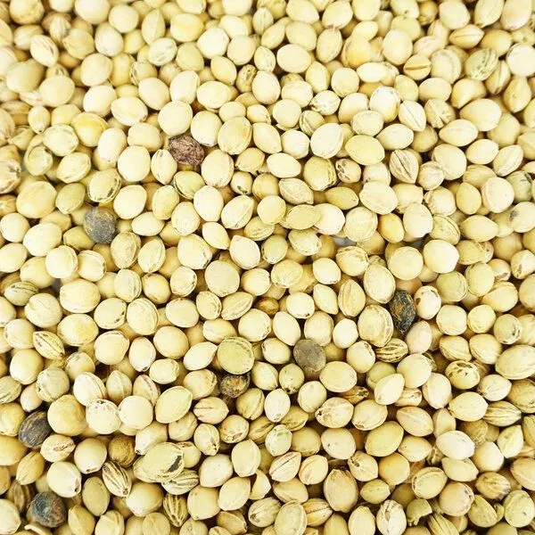Burst Burst Wärmekissen/ Kühlkissen - Überzug inklusive Kisseneinlage, Kirschkern spuken! (grün), – Produktbild 6 von 6