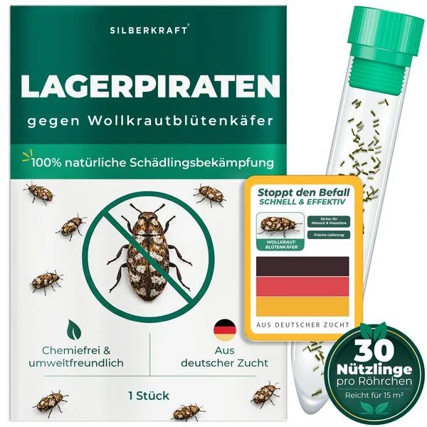 Silberkraft Silberkraft Lagerpiraten gegen Wollkrautblütenkäfer (Raubwanze Xylocoris Xylocoris flavipes) – Produktbild 1 von 4