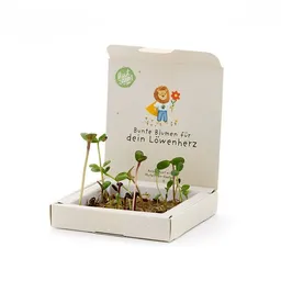 Die Stadtgärtner Die Stadtgärtner Pflanzkästchen mit Wildblumen-Saatgut & Anzuchtmatte | Set zum Selberpflanzen & Wachsen lassen | Kreative Geschenkidee für Kinder & Familien rund um Schule & Schulalltag – Produktbild 1 von 1