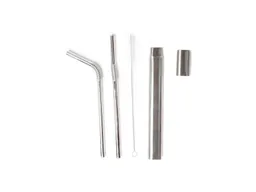 Halmbrüder 2 Edelstahl-Trinkhalme Turtleneck und To-Go-Box aus Edelstahl, silber Länge 22 cm – Produktbild 1 von 1