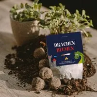 Ideenverlag Hamburg Ideenverlag Hamburg 10 „Drache & Ritter“ Samenbomben im Tütchen mit Wildblumensaatgut | Nachhaltiges Mitgebsel für Kindergeburtstage & Naturgeschenk für kleine Abenteurer:innen – Produktbild 1 von 1