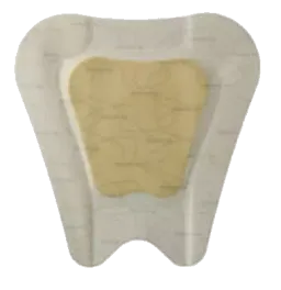 Coloplast BIATAIN Ag Schaumverband Sakrum 23x23 cm 5 St Verband – Produktbild 1 von 1