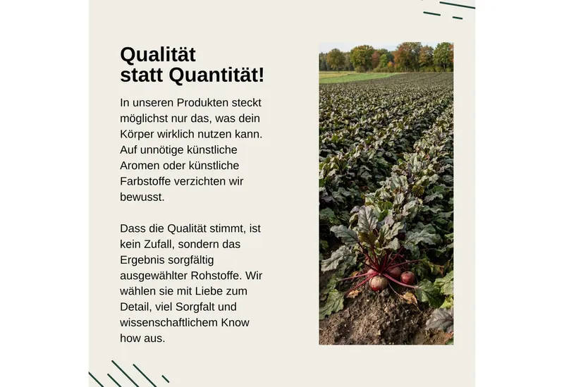 Vita Elements Super Rote Bete Gummies - Mit Enovita Traubenkernextrakt, 60 Kaubonbons, 1 er Packung à 60 St., Granatapfel-Beeren-Geschmack, Vegan, Gentechnikfrei und Laborgeprüft – Produktbild 4 von 5