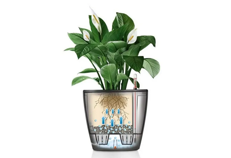 Lechuza® Lechuza® Pflanzkübel Pflanztopf Classico LS 21 schwarz hochglanz, Schwarz, – Produktbild 6 von 6