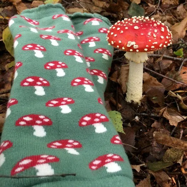 Fräulein Prusselise Fräulein Prusselise Stulpen Pilze grün, rot, bunt gemustert, Beinlinge Armlinge – Produktbild 3 von 4