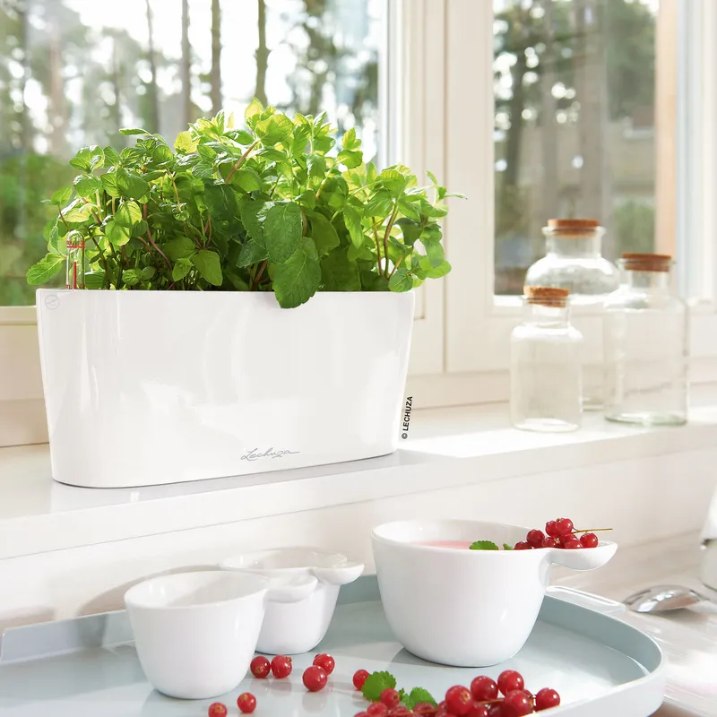 Lechuza® Lechuza® 'Delta 10', weiß, ca. 30 x 11 x H 13 cm, Weiß, – Produktbild 1 von 1
