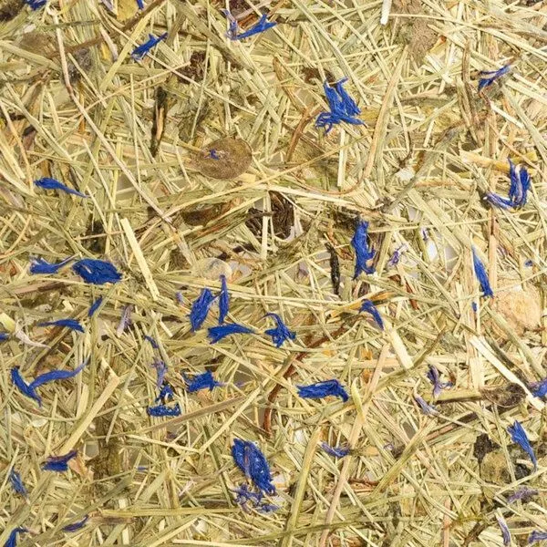 ALMUT von Wildheim ALMUT von Wildheim Almheu Pendellampe aus 100 % Tiroler Bio-Gräsern, Heu & kornblumen (grün/blau), – Produktbild 7 von 8