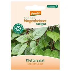 Bingenheimer Saatgut Klettersalat Malabar-Spinat – Produktbild 1 von 1
