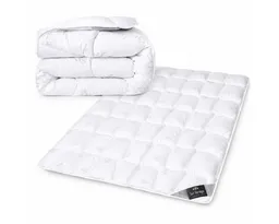 SEI Design Microfaserbettdecke Winter Bettdecke SWAN - warme Decke weich wie Daunen, Füllung: 100% Mikrofaser, Bezug: 100% Mikrofaser, ein Gefühl wie Daunen – Produktbild 1 von 1
