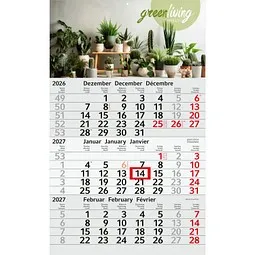 geiger notes geiger notes Geiger-Notes Monatskalender Budget 3 green+blue, inkl. Druck, Grau / rot, – Produktbild 1 von 1