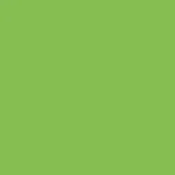 folia folia Fotokarton A4  300g/m² 50 Blatt Hellgrün – Produktbild 1 von 1