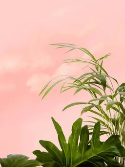 Photocircle Photocircle Poster / Leinwandbild - Minimal Botanical – Produktbild 1 von 1
