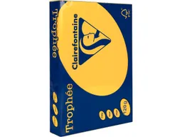 Clairefontaine 250 Blatt Clairfontaine Farbiges Kopierpapier 'Trophee' 120 g/m², DIN A4, goldgelb – Produktbild 1 von 1