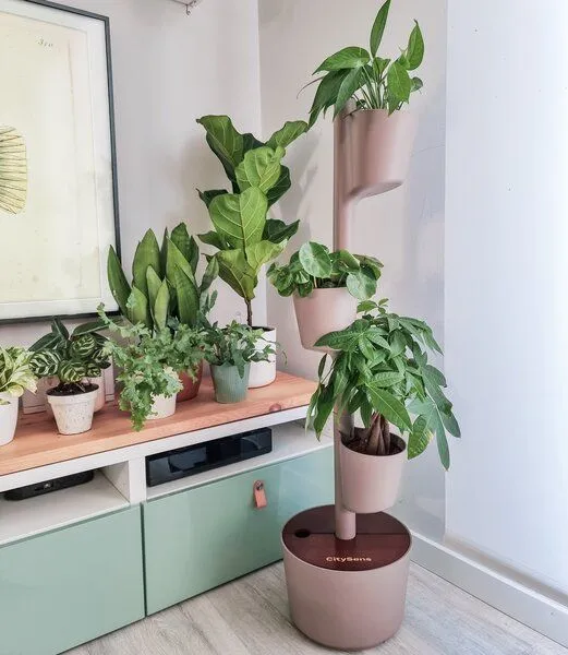 CitySens CitySens Vertikaler Blumentopf mit manueller Bewässerung 3 Blumentöpfe, Rinde-teak, – Produktbild 4 von 4