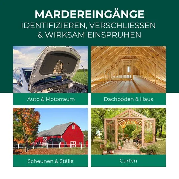 Silberkraft Silberkraft Marder-Stopp Spray: Hochwirksamer Marderschutz für dein Auto und Zuhause – Produktbild 3 von 4