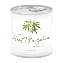 MacFlowers MacFlowers® Mein erstes „Hanfpflänzchen” | Hanfpflanze in der Blumendose – Produktbild 1 von 1