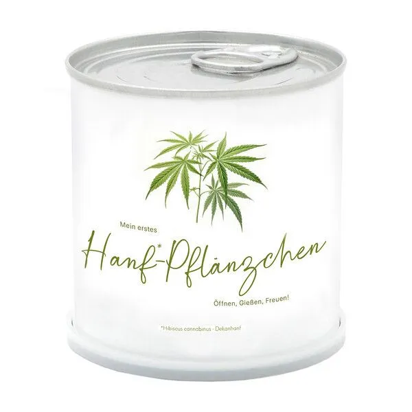 MacFlowers MacFlowers Hanfpflanze in der Blumendose, Weiss, – Produktbild 1 von 1