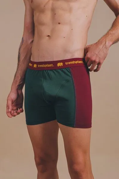 Trendsplant Trendsplant Organic Essential Boxer Briefs Color Block, Bunt, – Produktbild 2 von 4