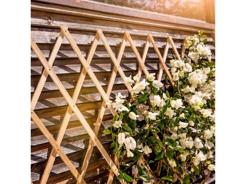 Windhager Windhager Rankgitter Holz-Spalier FSC-zertifiziert für Rosen und Kletterpflanzen, 1 St., Rankhilfe für Hauswände, erhältlich in unterschiedlichen Größen, Beige, – Produktbild 3 von 5