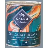 Caleo Color Caleo Color Ökologischer Lack, Wolkenbett (blaugrau), – Produktbild 1 von 1