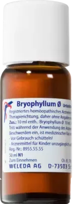 Weleda WELEDA BRYOPHYLLUM Urtinktur 50 ml Dilution – Produktbild 1 von 1