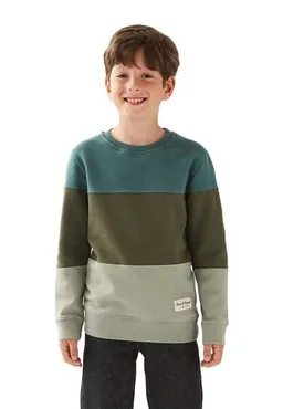 Band of Rascals Band of Rascals 3C Block Sweat – Produktbild 1 von 1