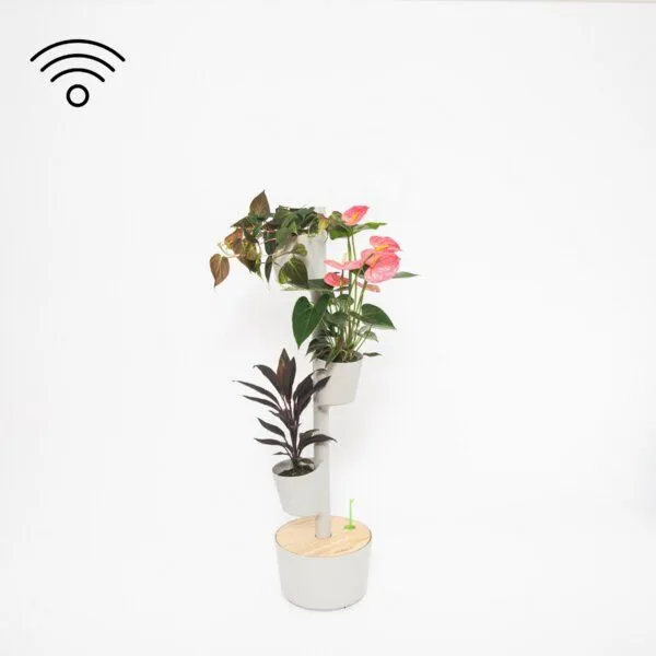CitySens CitySens Vertikaler Blumentopf mit Wifi-Selbstbewässerung 3 Blumentöpfe, Gris, – Produktbild 1 von 4