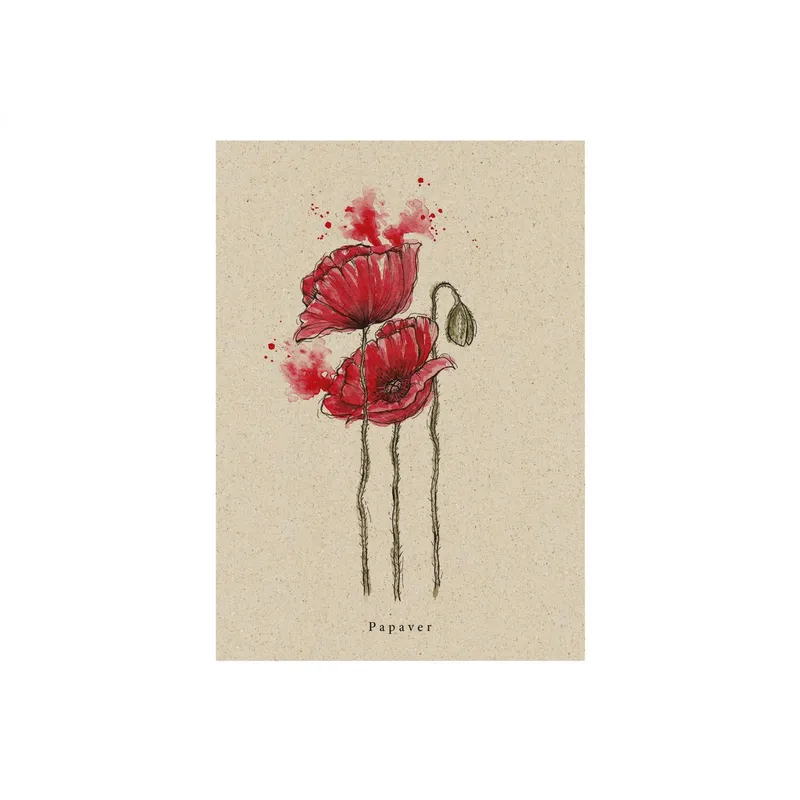 matabooks® Postkarte Mohn – Produktbild 1 von 2