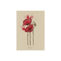 matabooks® Postkarte Mohn – Produktbild 1 von 1