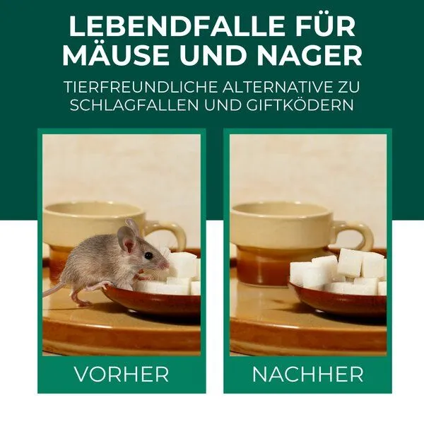 Silberkraft Silberkraft Lebendfalle für Mäuse aus Draht - Mäusefalle - tierfreundliche Alternative zu Schlagfallen und Giftköder – Produktbild 2 von 4