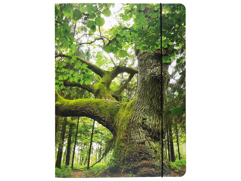 Sammelmappe "Baum", DIN A4, mit Gummizug und 3 Einschlagklappen, Recyclingkarton 500 g/m² – Produktbild 1 von 1
