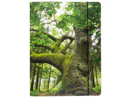 Sammelmappe "Baum", DIN A4, mit Gummizug und 3 Einschlagklappen, Recyclingkarton 500 g/m² – Produktbild 1 von 1