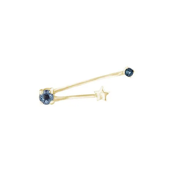 Eppi Eppi Ohrringe mit Sternzeichen Aquarius, Gold, – Produktbild 1 von 4