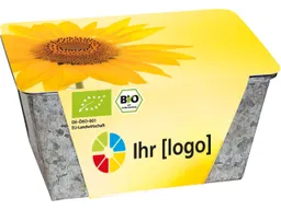 Bio Wachstums-Kästchen 'Sonne' – Produktbild 1 von 1
