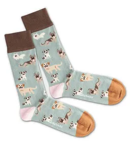 DillySocks DillySocks Socken - Doggy Dog – Produktbild 1 von 1