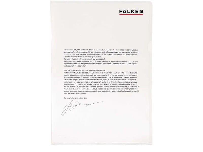 Falken FALKEN Aktensichthüllen genarbt, DIN A4, 80µ, 100 Stk. – Produktbild 1 von 1