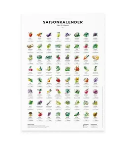 531 Rheinland Design 531 Rheinland Design Saisonkalender Obst & Gemüse in Farbe – Produktbild 1 von 1