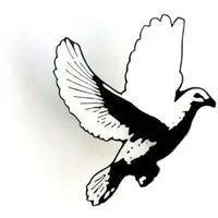 roots of compassion roots of compassion Anstecker Vogel - Pin, Button, Emaille, Tiere, Tierliebe, Vögel, Freiheit, Frieden – Produktbild 1 von 1