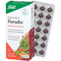 Salus Salus Floradix-Kräuterblut "Eisen Folsäure", 42 g – Produktbild 1 von 1