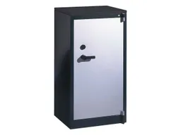 C+P C+P Feuergeschützte Flügeltürenschrank anthrazit/alusilber B 65 cm, H 122,6 cm – Produktbild 1 von 1