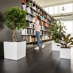 Lechuza® Lechuza® 'Cube Premium 50', weiß, ca. 49 x 49 x H 49,5 cm – Produktbild 1 von 1