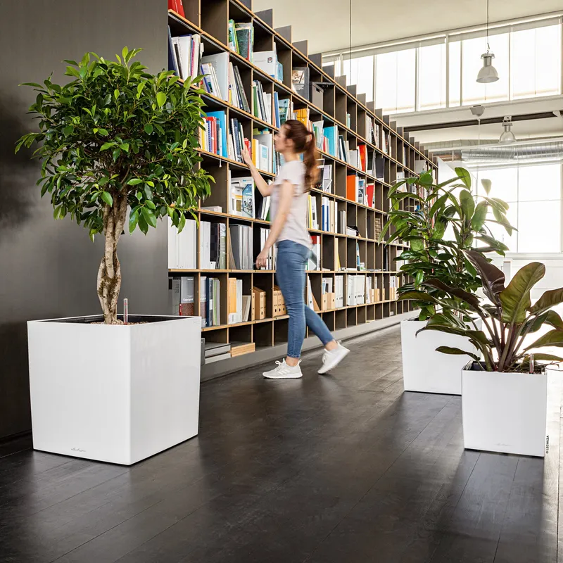 Lechuza® Lechuza® 'Cube Premium 50', weiß, ca. 49 x 49 x H 49,5 cm, Weiß, – Produktbild 1 von 1
