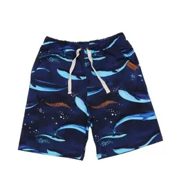 Walkiddy Kinder Shorts GOTS zertifiziert Bio-Baumwolle Dunkelblau Allover-Print „Whaley’s Song“ elastischer Bund – Walkiddy – Produktbild 1 von 1