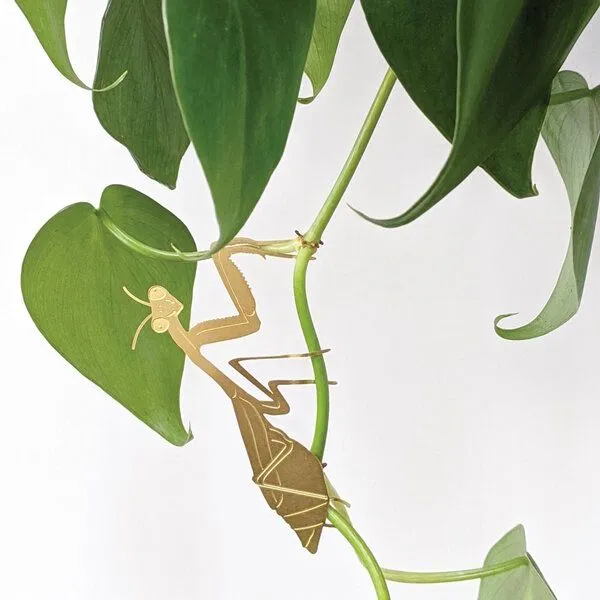another studio another studio Plant Animal - Design Pflanzendekoration - Figuren aus Messing, Gottesanbeterin, – Produktbild 1 von 4