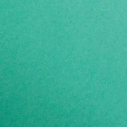Clairefontaine Clairefontaine Tonzeichenpapier 50x70cm Tannengrün – Produktbild 1 von 1