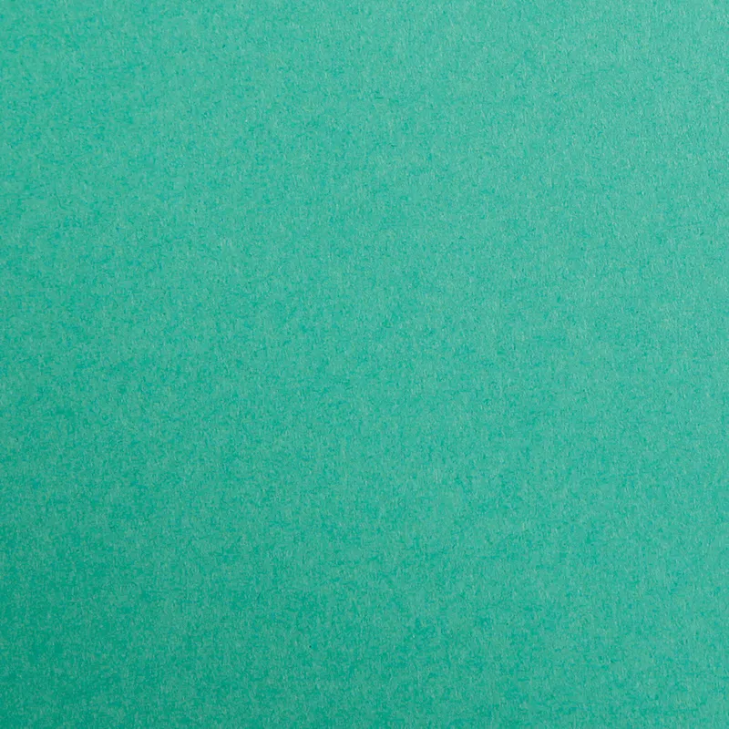 Clairefontaine Clairefontaine Tonzeichenpapier 50x70cm Tannengrün, Tannengrün, – Produktbild 1 von 1