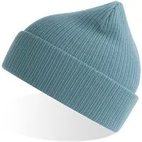 Atlantis Headwear Atlantis Headwear Atlantis Nelson Beanie aus Bio Baumwolle verschiedene Farben – Produktbild 1 von 1