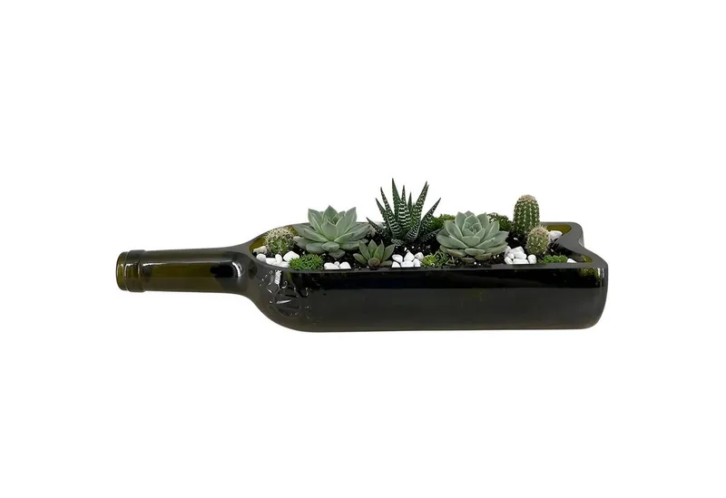 Upglassic Upglassic Upcycling-Planter | Weinflasche | Pflanzgefäß für Sukkulenten – Produktbild 1 von 8