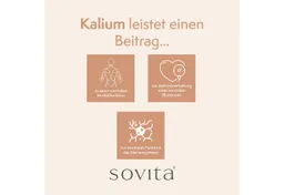 Ascopharm Ascopharm Kalium Opti 400 Kapseln, 120 Stk. mit 400 mg Kalium vegan 1, 1 er 120 St. – Produktbild 1 von 1