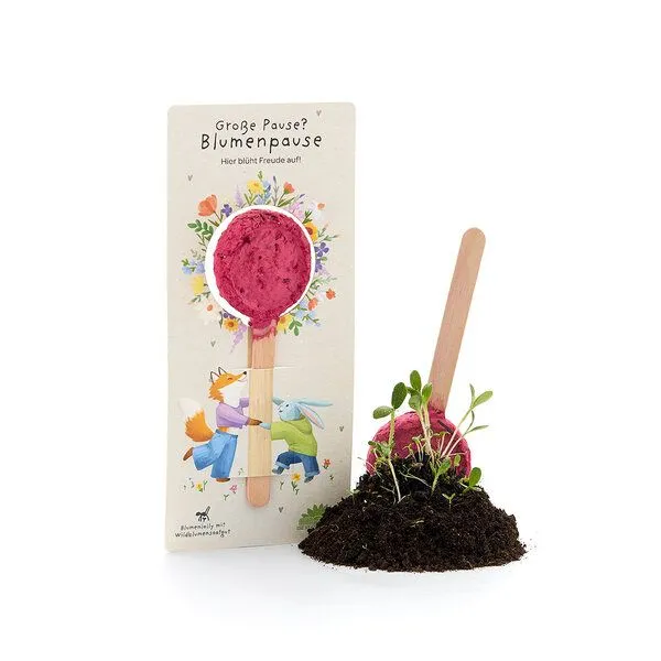 Die Stadtgärtner Die Stadtgärtner Blumenlolly mit Wildblumen-Saatgut | Lolly aus Baumwollfasern am Holzstiel | Zum Einpflanzen & Weiterwachsen | Kreative Geschenkidee für Kinder, Schultüte, Einschulung & Schulalltag – Produktbild 2 von 2